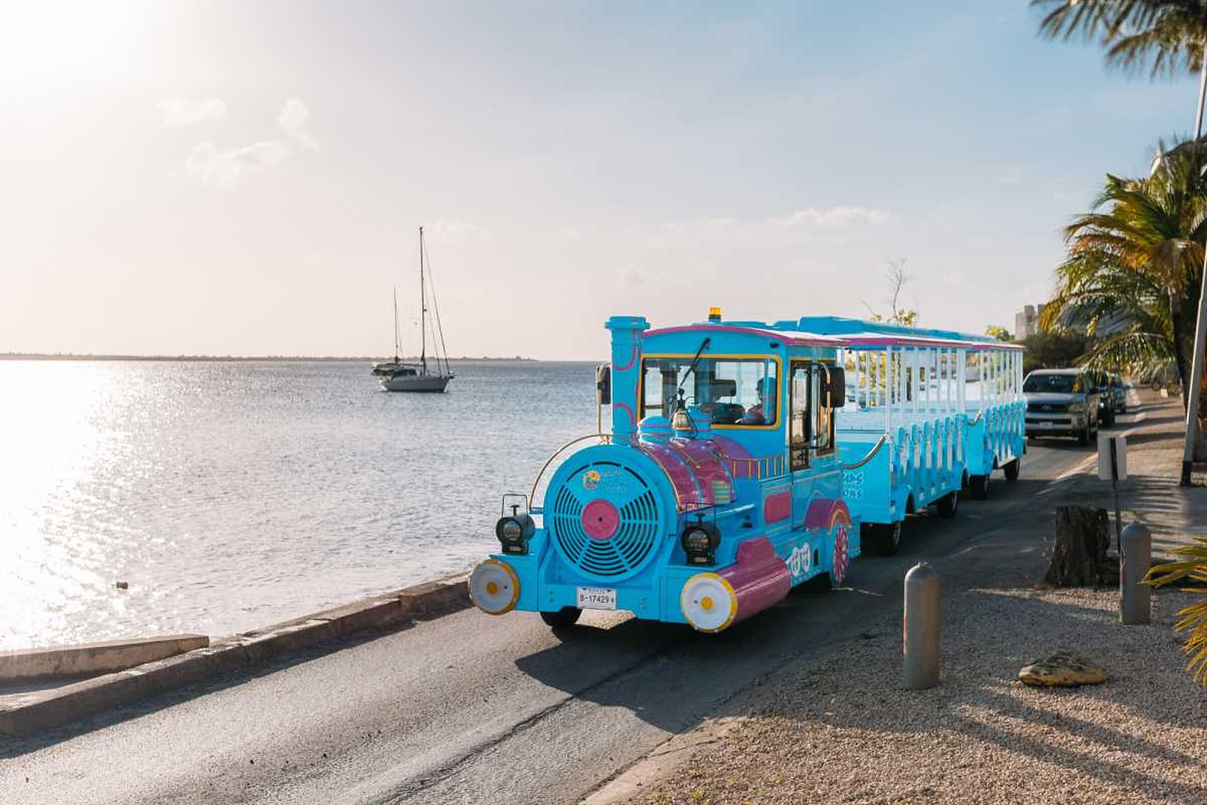 Trolley Tour
