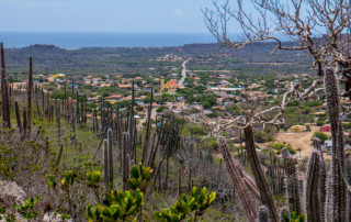 Rincon Bonaire