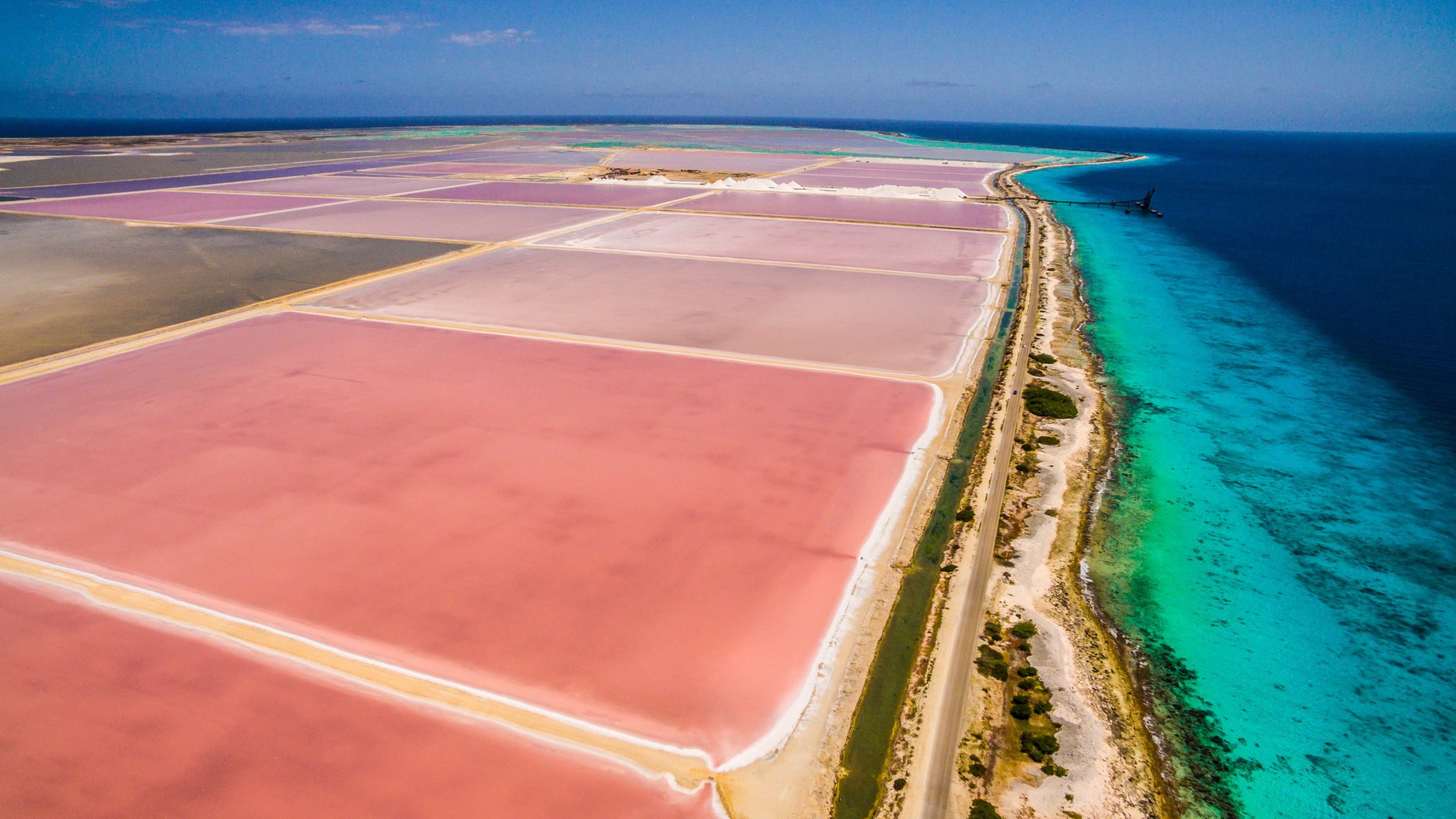 Bonaire Salt Flats